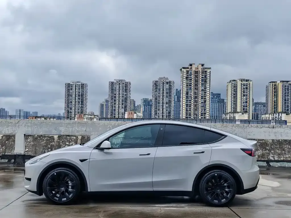 Tesla Model Y — фото 8
