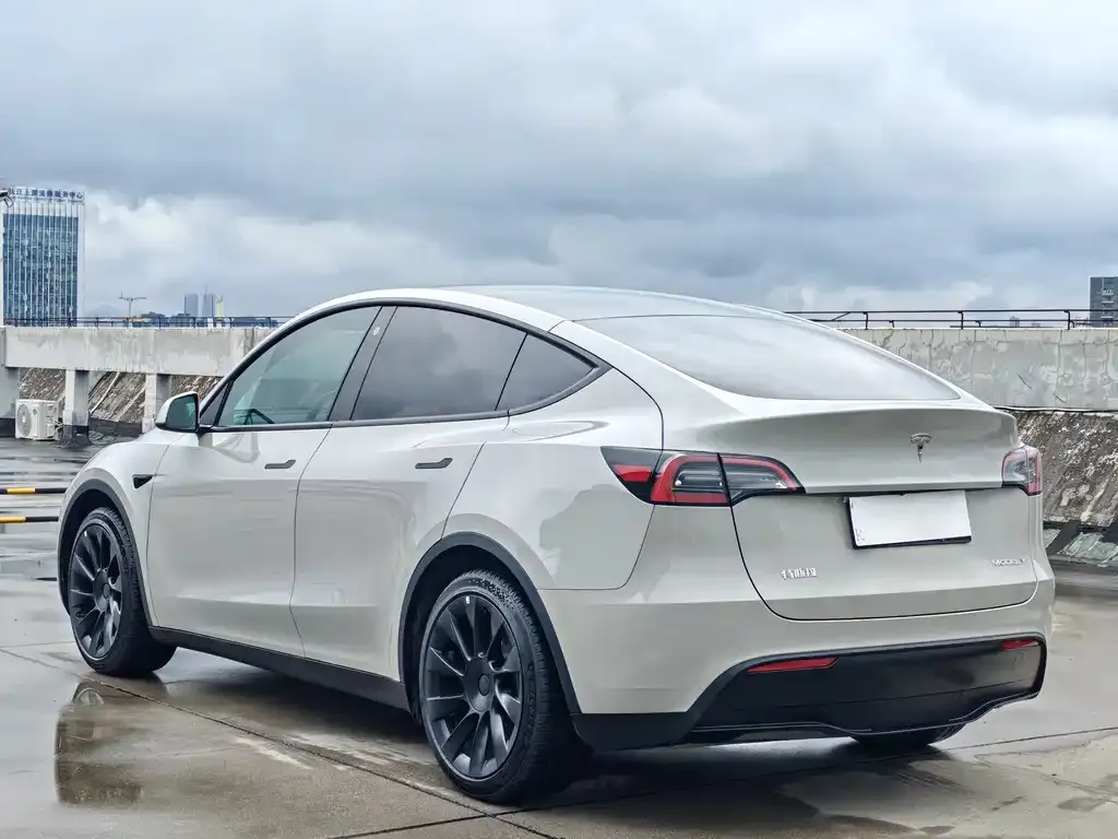 Tesla Model Y — фото 10