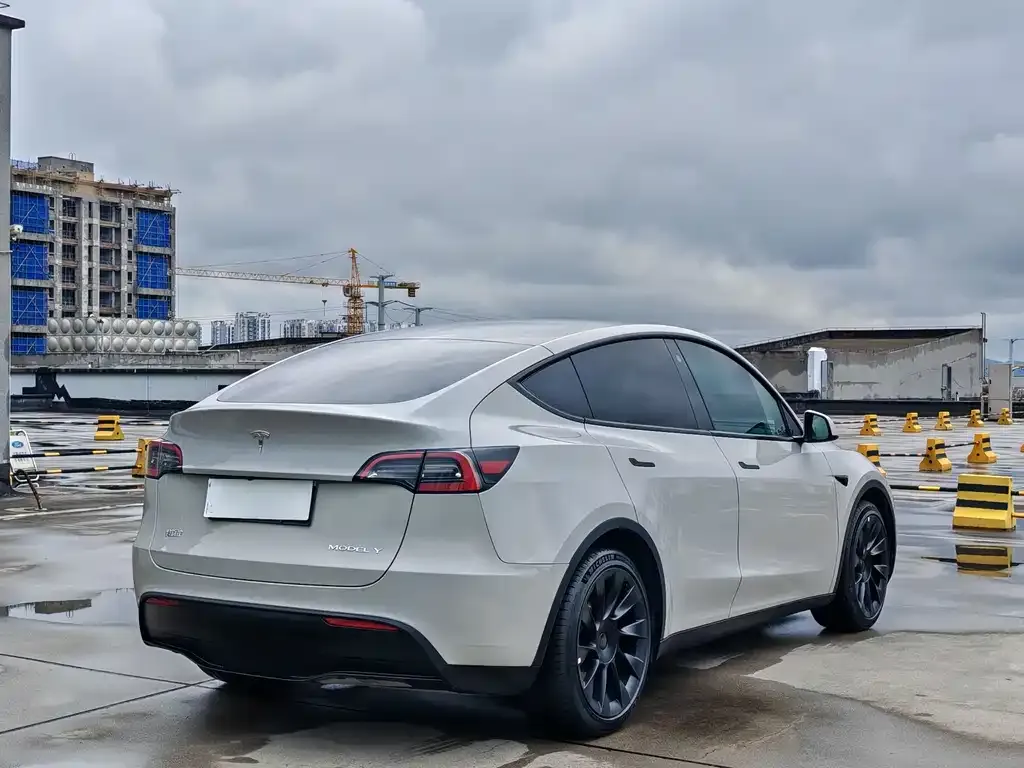 Tesla Model Y — фото 3