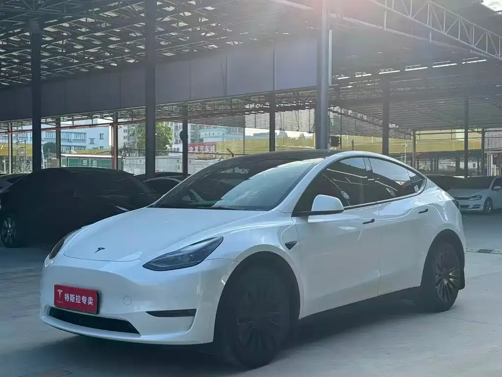 Tesla Model Y — фото 1