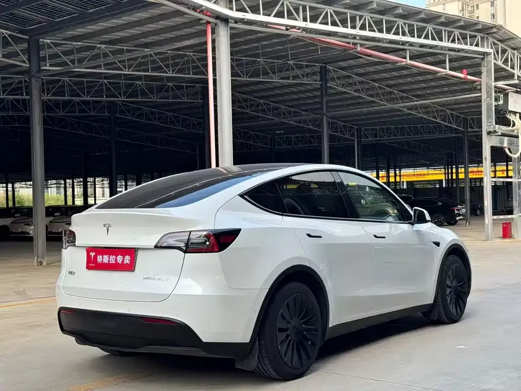Tesla Model Y — фото 2