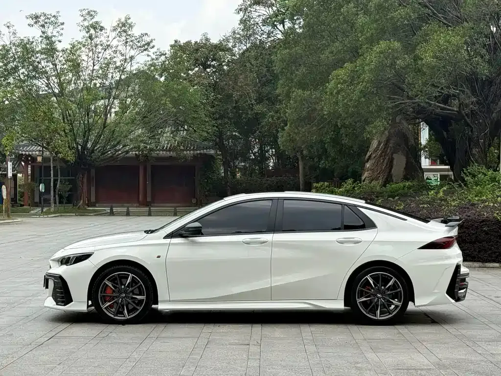 GAC Motor Shadow Leopard 2024 из CN, фото 6