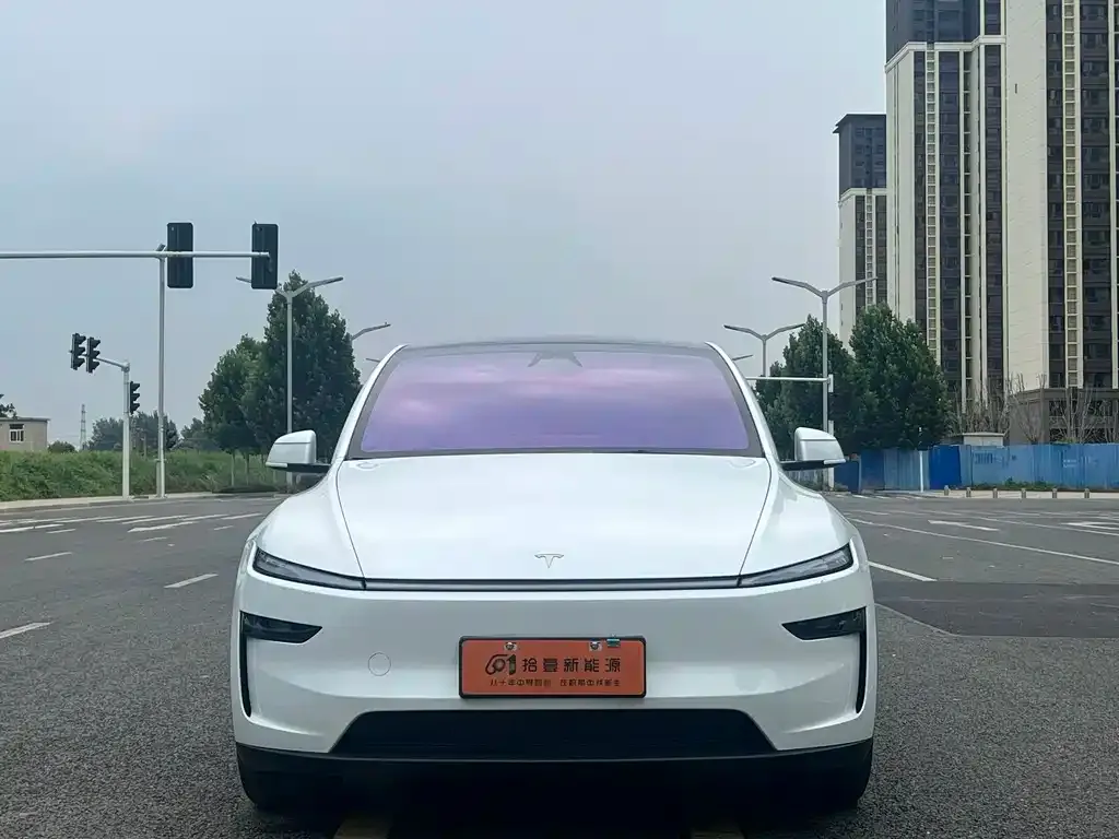 Tesla Model Y — фото 8