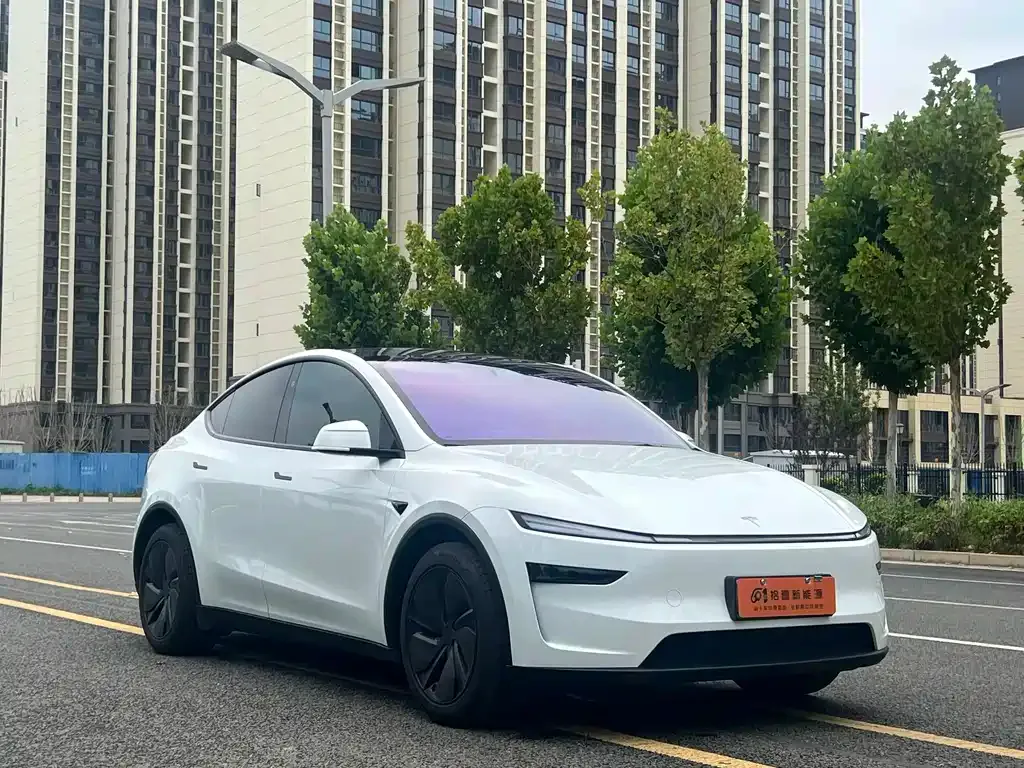 Tesla Model Y — фото 10