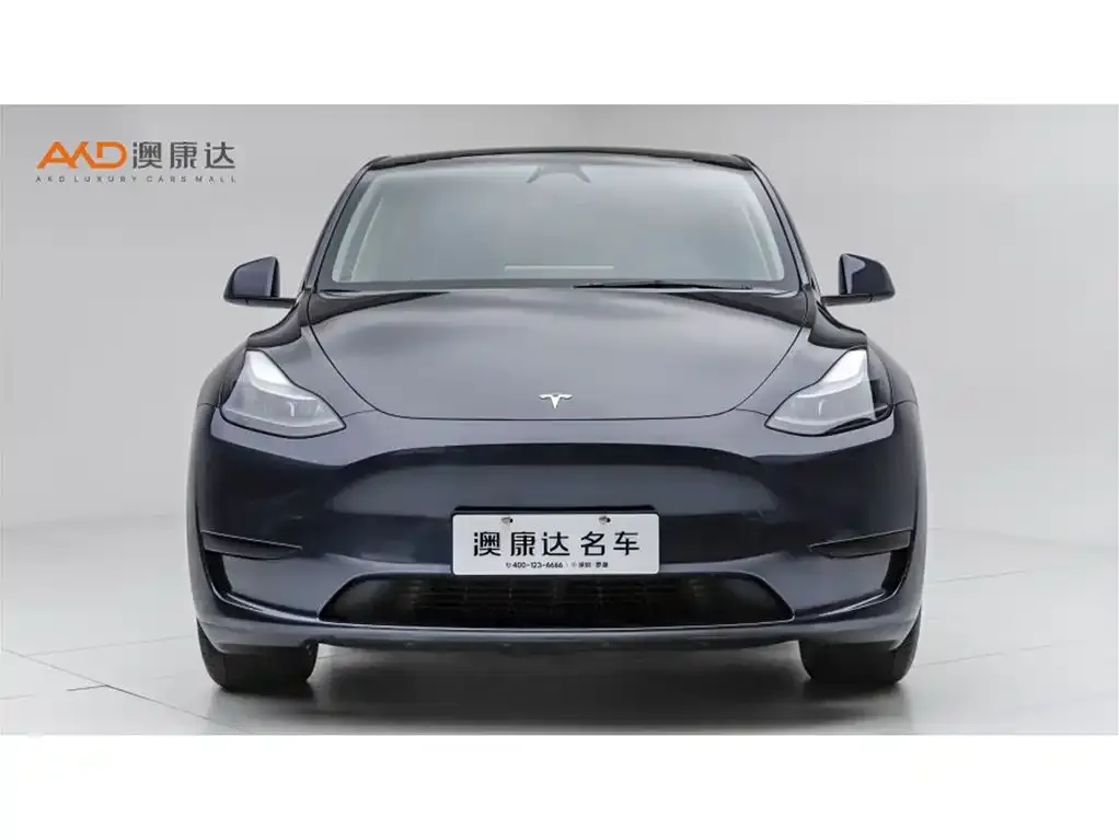 Tesla Model Y — фото 3