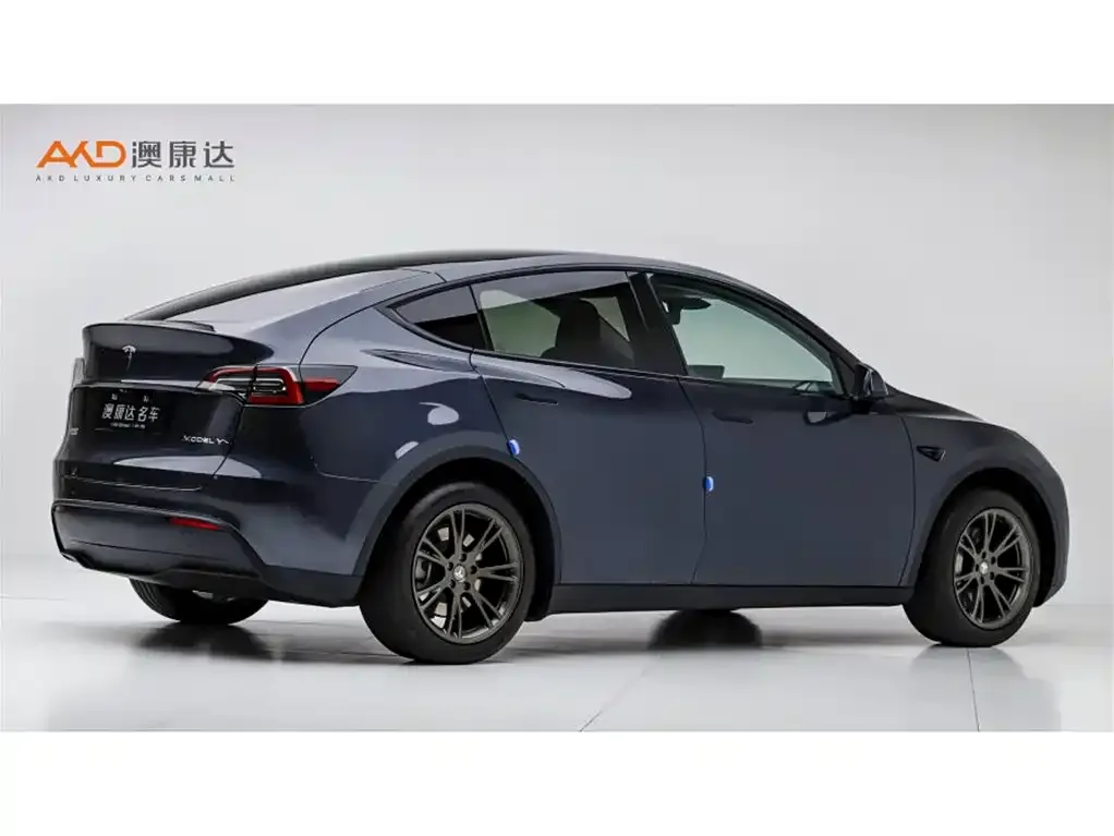 Tesla Model Y — фото 6