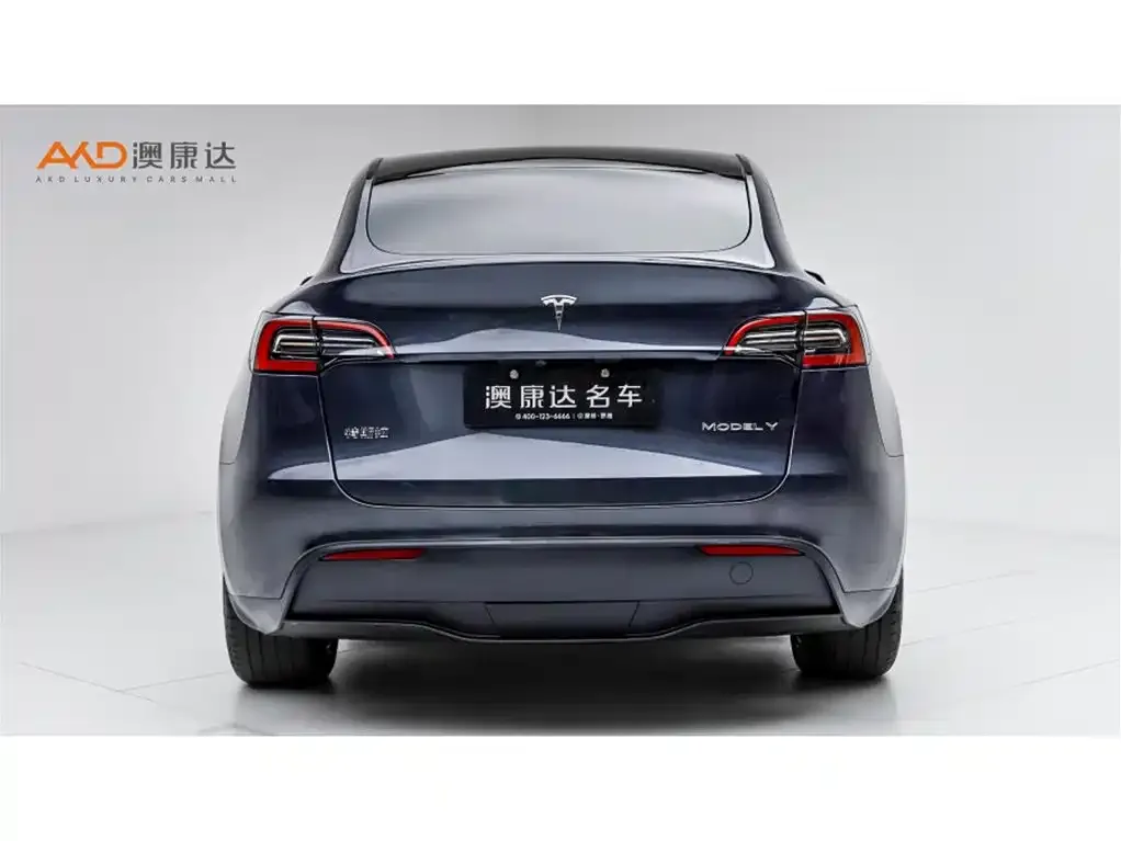 Tesla Model Y — фото 10