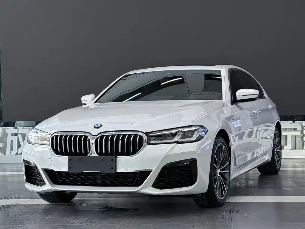 BMW 5 Series — фото 1