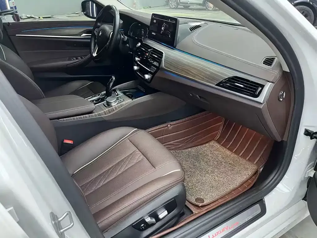 BMW 5 Series New Energy 2021 из CN, фото 4