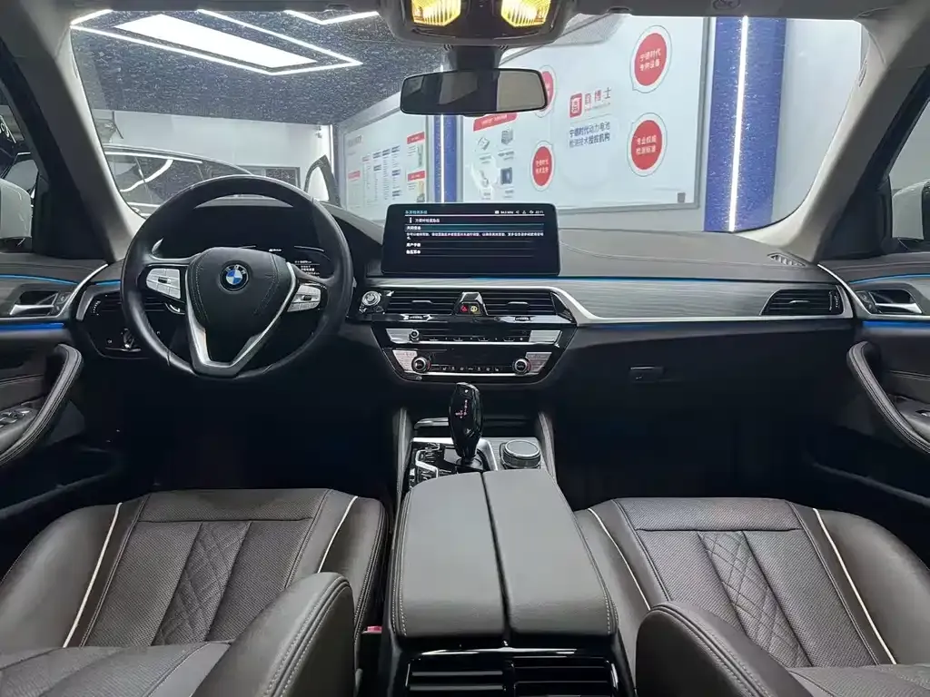 BMW 5 Series New Energy 2021 из CN, фото 6