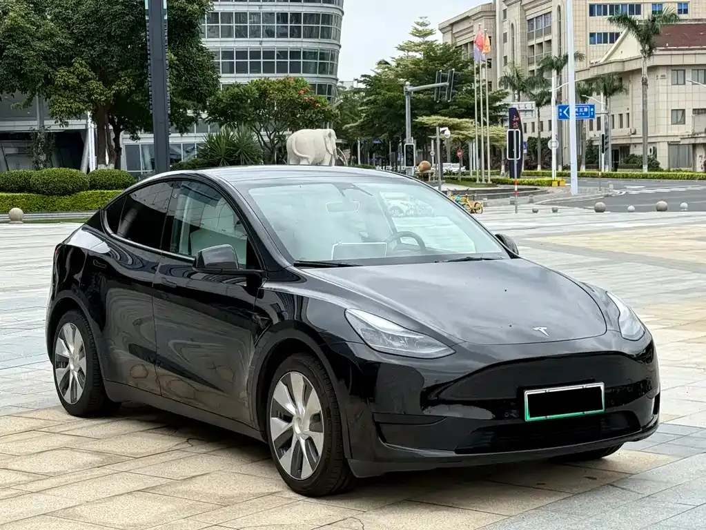 Tesla Model Y — фото 10