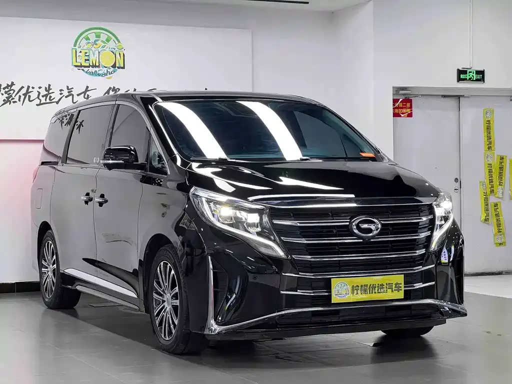 GAC Motor Trumpchi M8 2023 из CN, фото 10