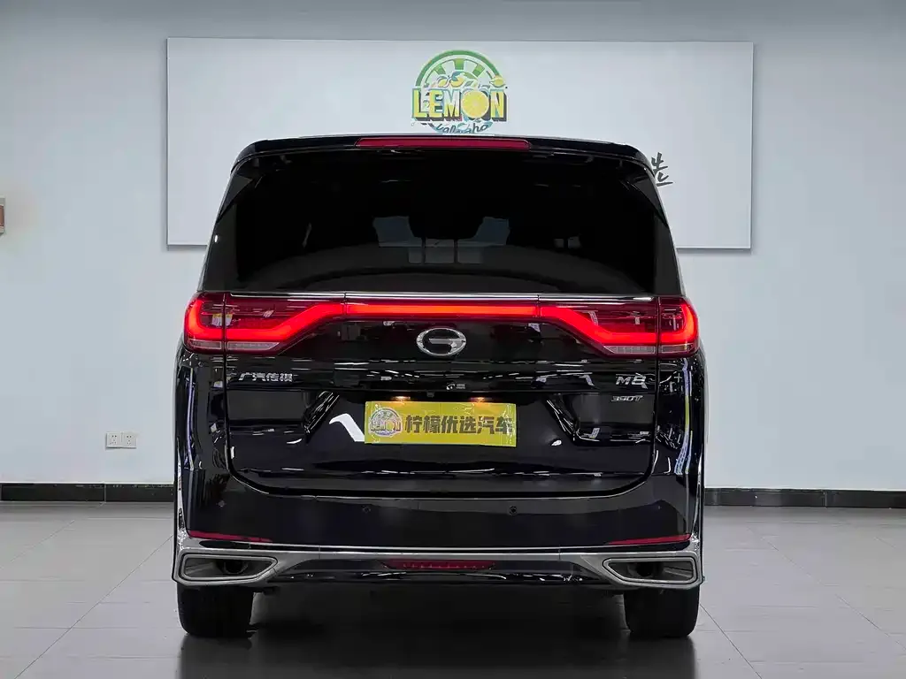 GAC Motor Trumpchi M8 2023 из CN, фото 6