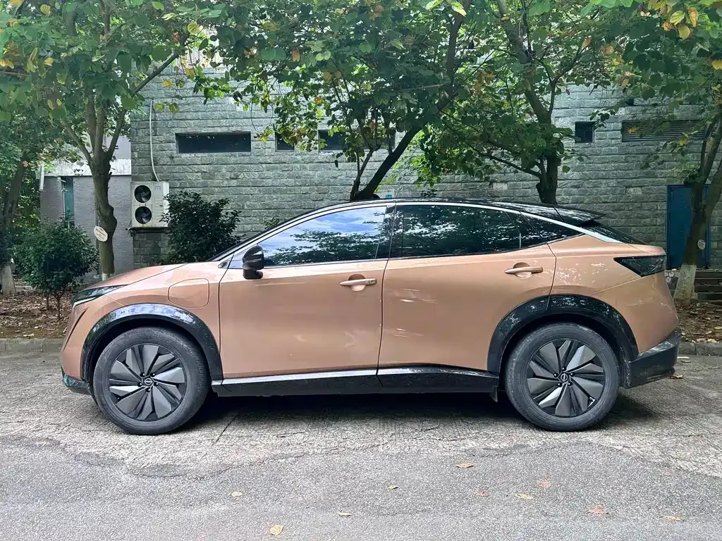 Nissan Ariya 2022 из CN, фото 10