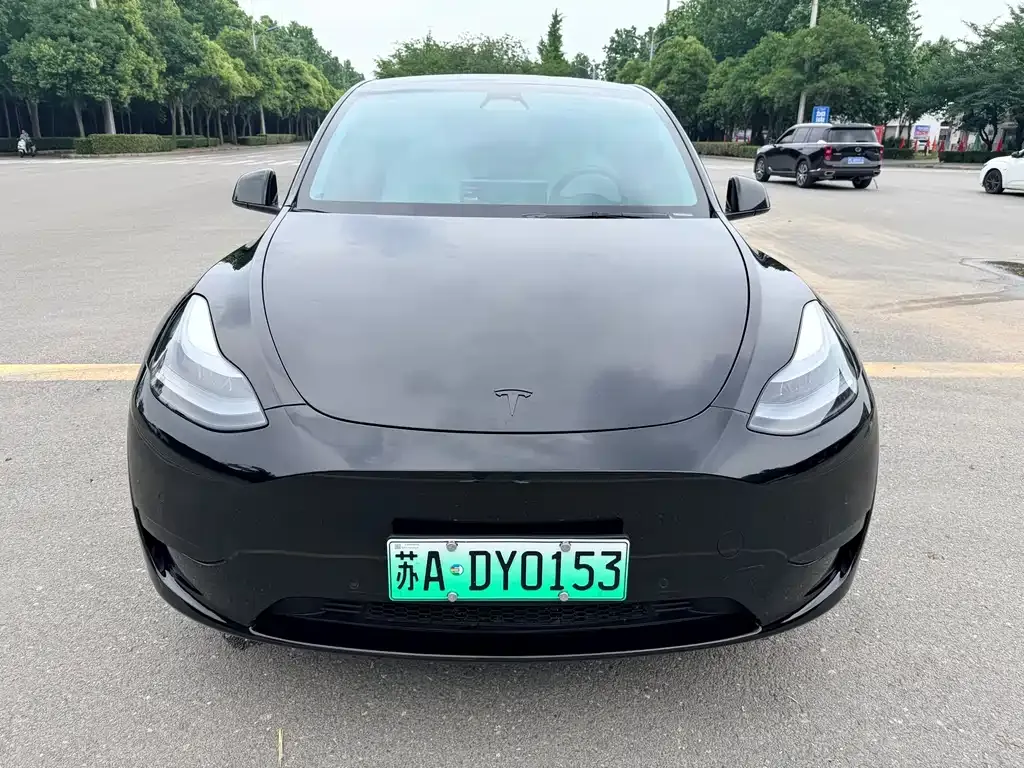 Tesla Model Y — фото 6