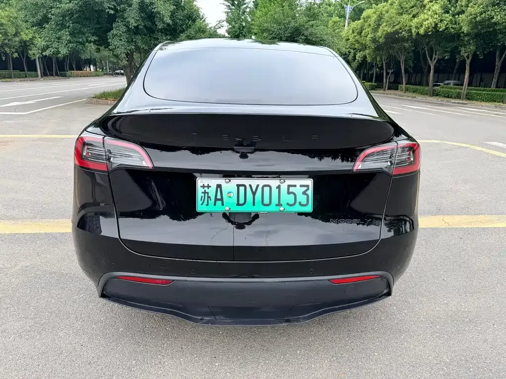 Tesla Model Y — фото 7