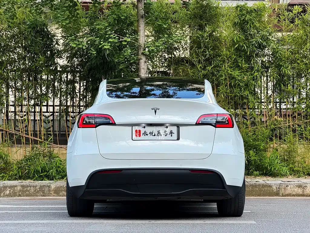 Tesla Model Y — фото 8