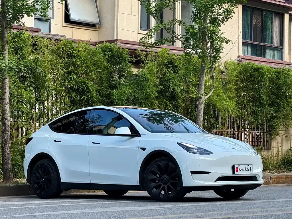 Tesla Model Y — фото 10