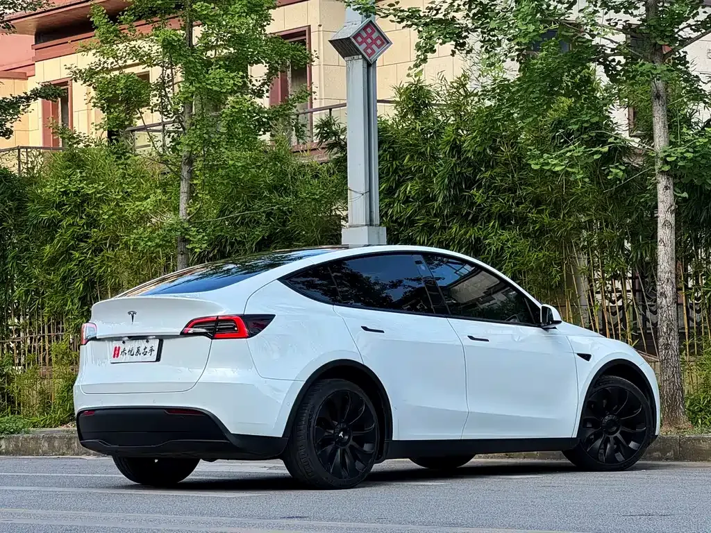 Tesla Model Y — фото 2