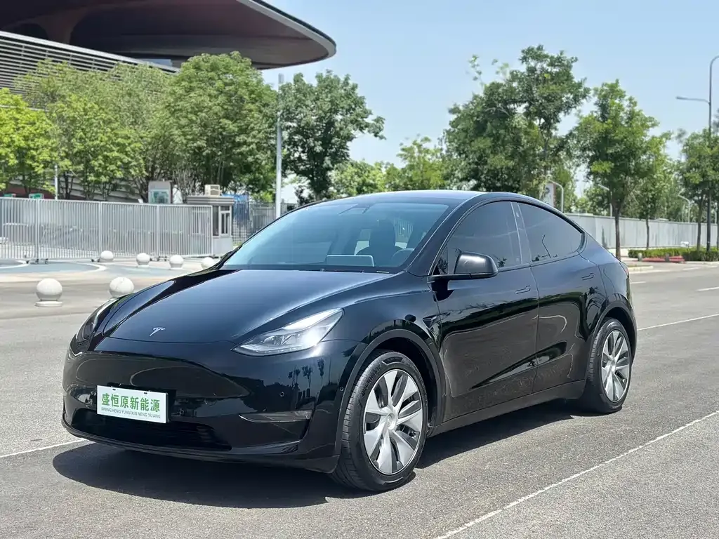Tesla Model Y — фото 1