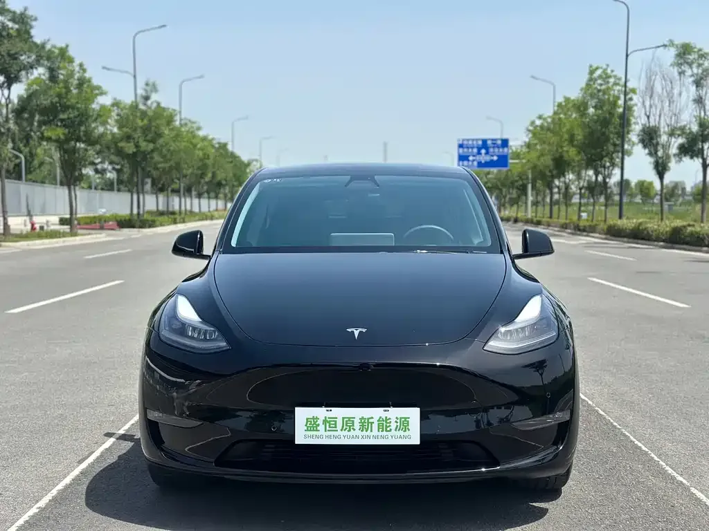 Tesla Model Y — фото 7
