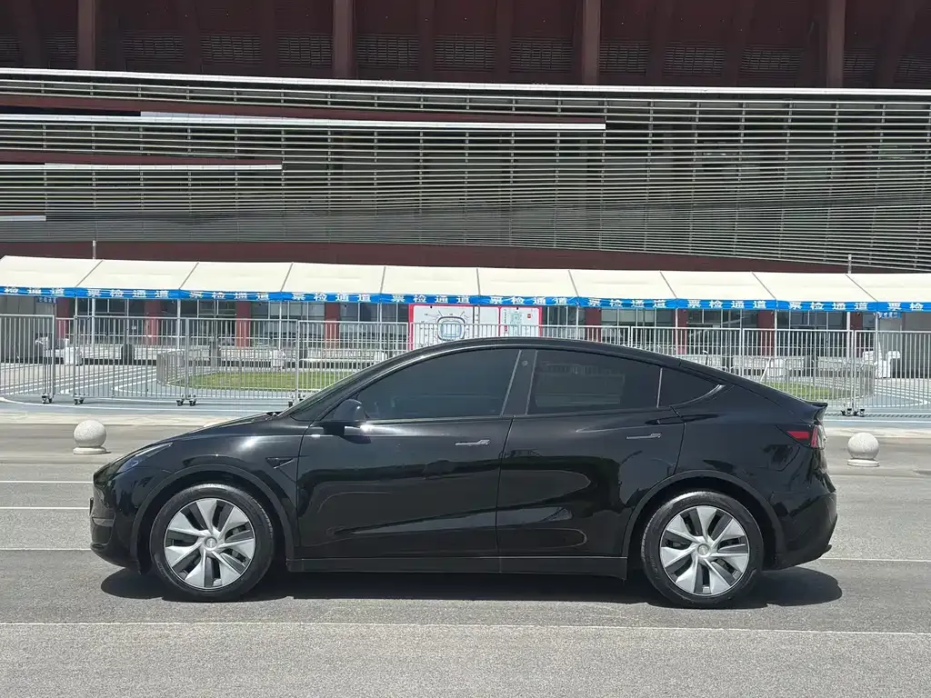 Tesla Model Y — фото 10