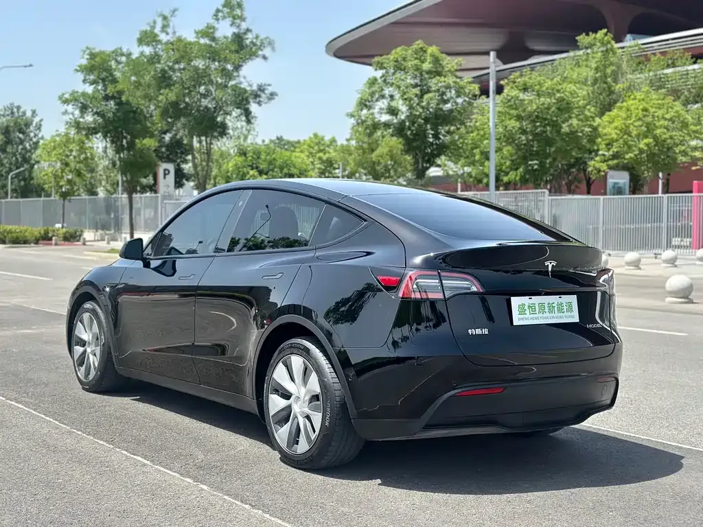 Tesla Model Y — фото 9