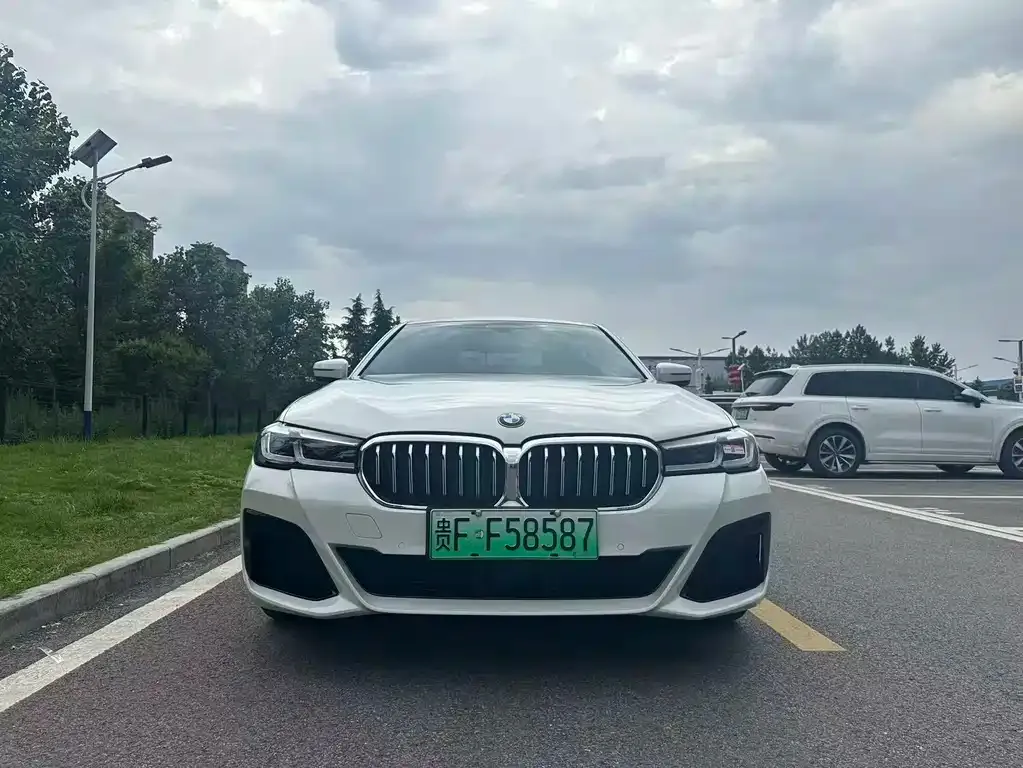 BMW 5 Series New Energy 2021 из CN, фото 10