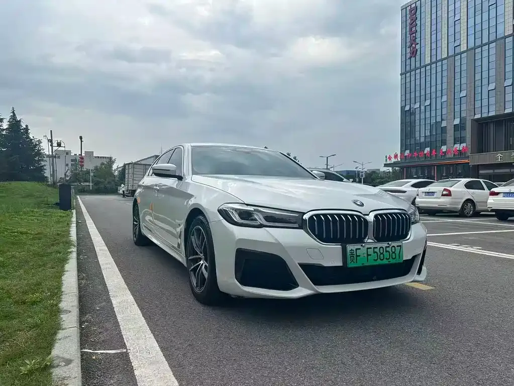 BMW 5 Series New Energy 2021 из CN, фото 4