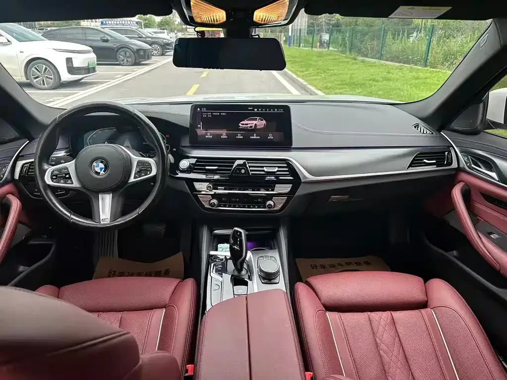BMW 5 Series New Energy 2021 из CN, фото 8
