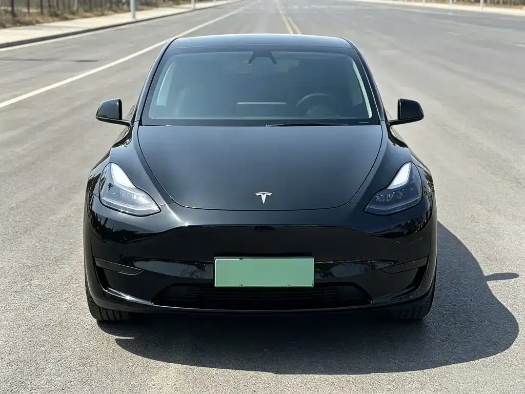 Tesla Model Y — фото 2