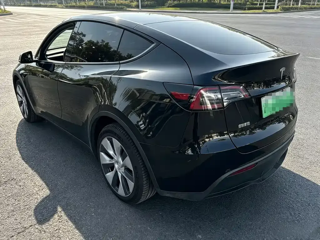Tesla Model Y — фото 8