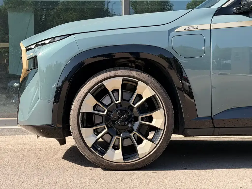 BMW XM 2023 из CN, фото 5