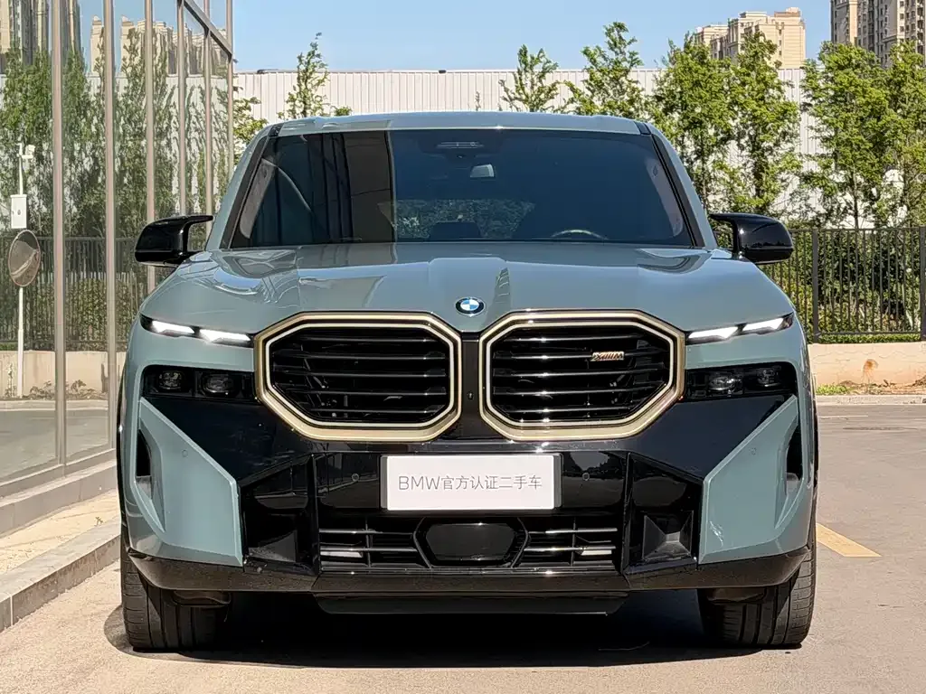 BMW XM 2023 из CN, фото 9