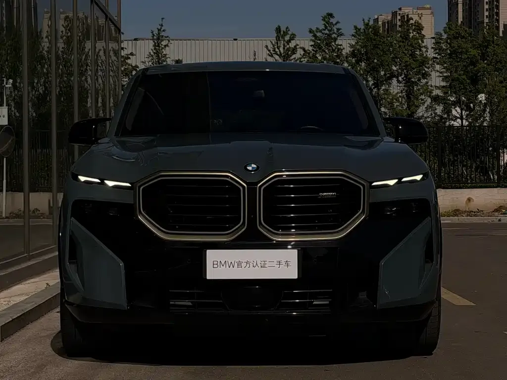 BMW XM 2023 из CN, фото 6
