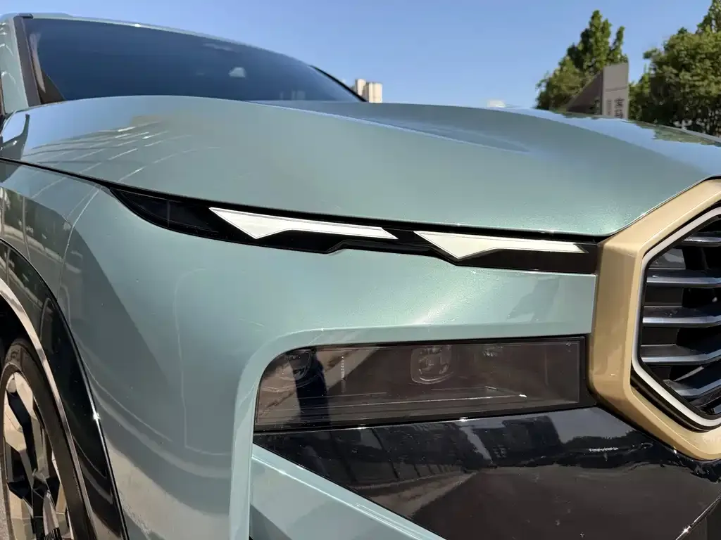BMW XM 2023 из CN, фото 3