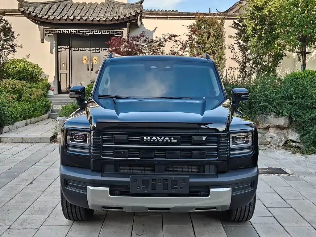 Haval Menglong New Energy — фото 10