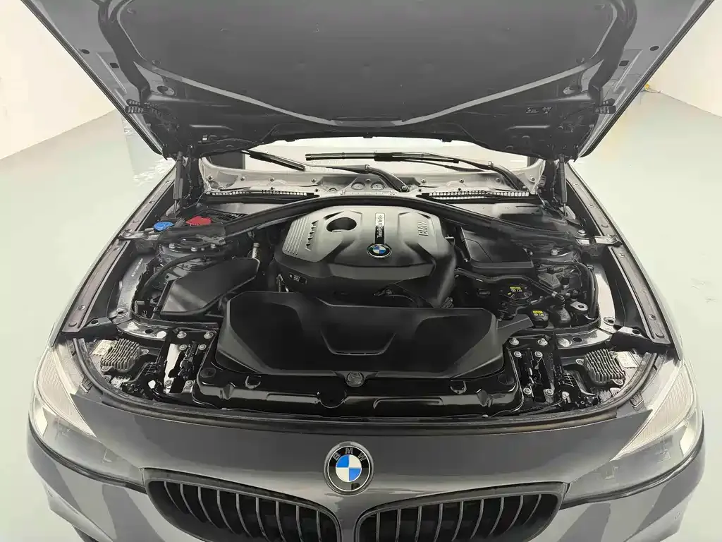 BMW 3 Series GT 2021 из CN, фото 8