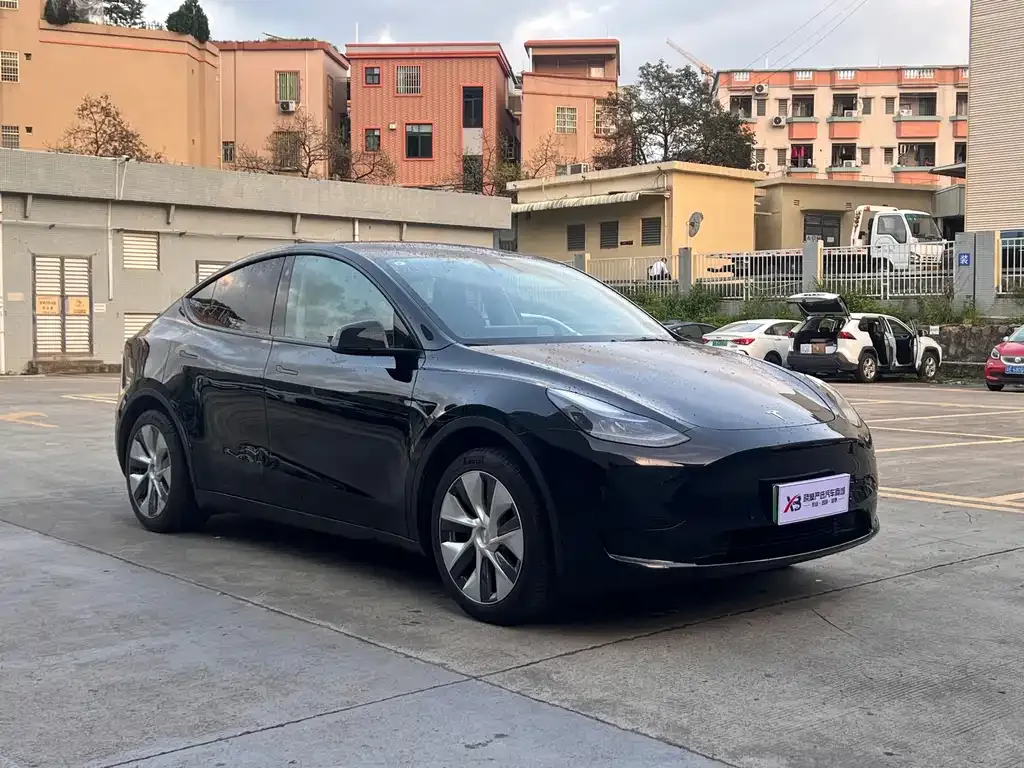 Tesla Model Y — фото 3