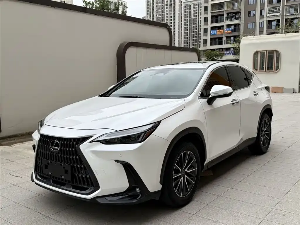 Lexus NX — фото 1
