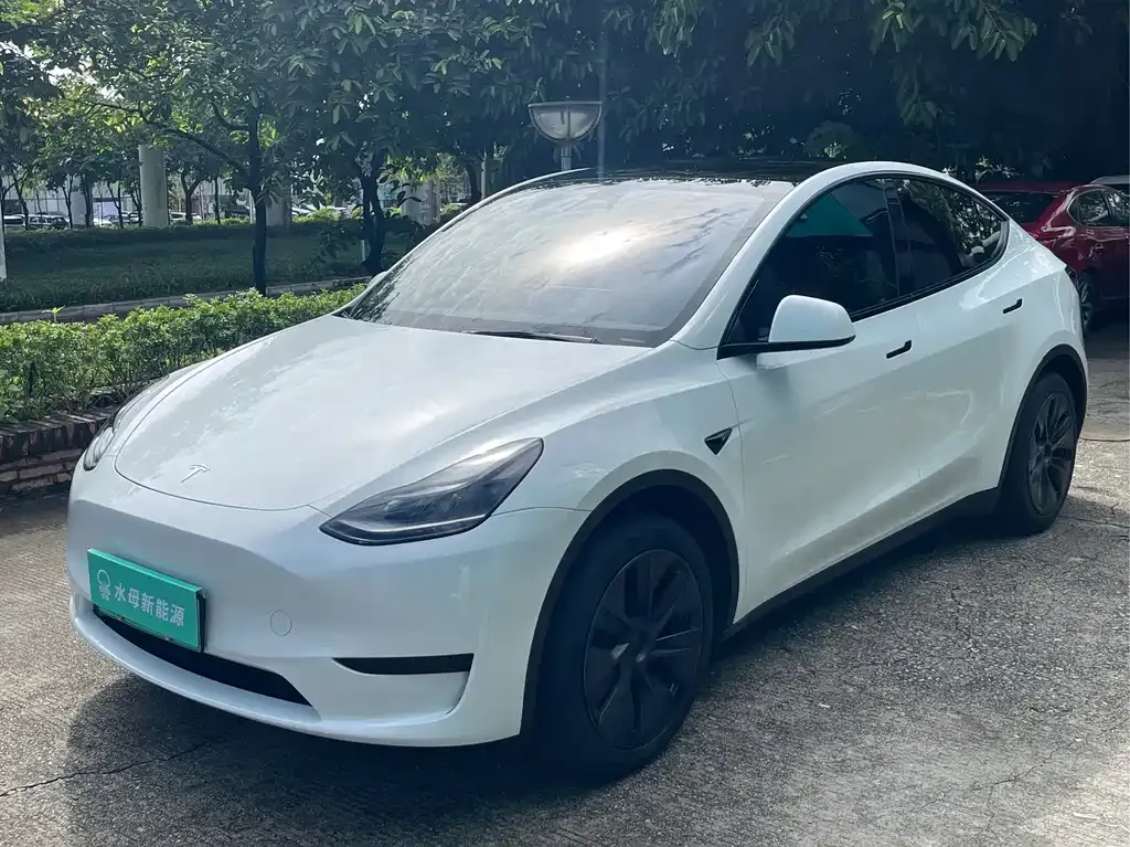 Tesla Model Y — фото 1
