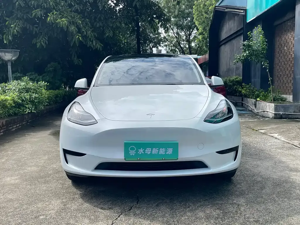 Tesla Model Y — фото 10