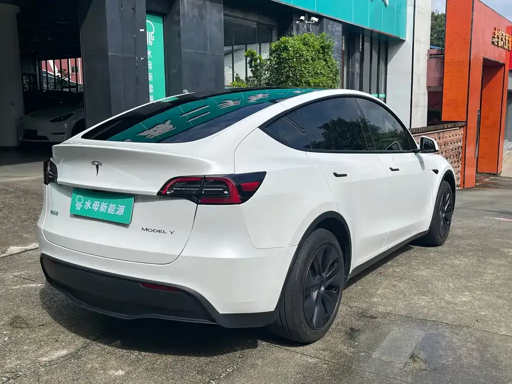 Tesla Model Y — фото 3