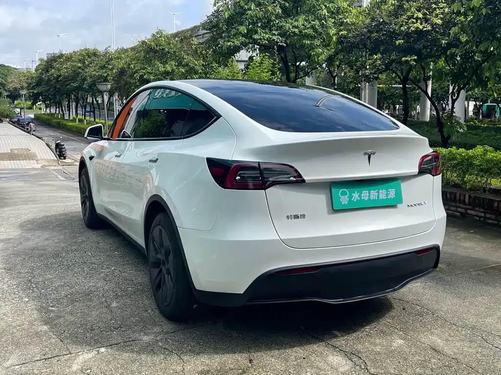 Tesla Model Y — фото 9