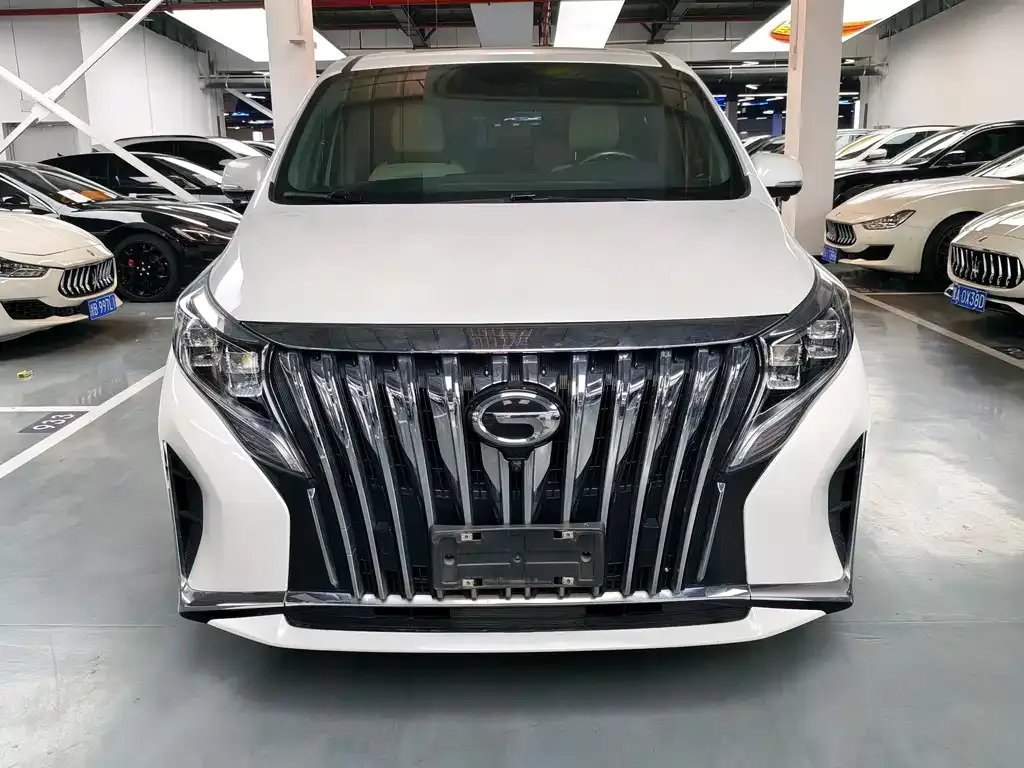 GAC Motor Trumpchi M8 2021 из CN, фото 5
