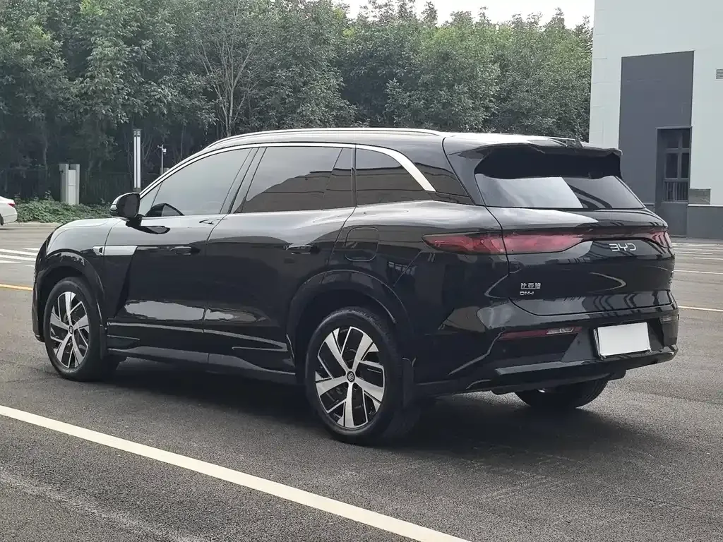 BYD Tang L 2025 из CN, фото 5