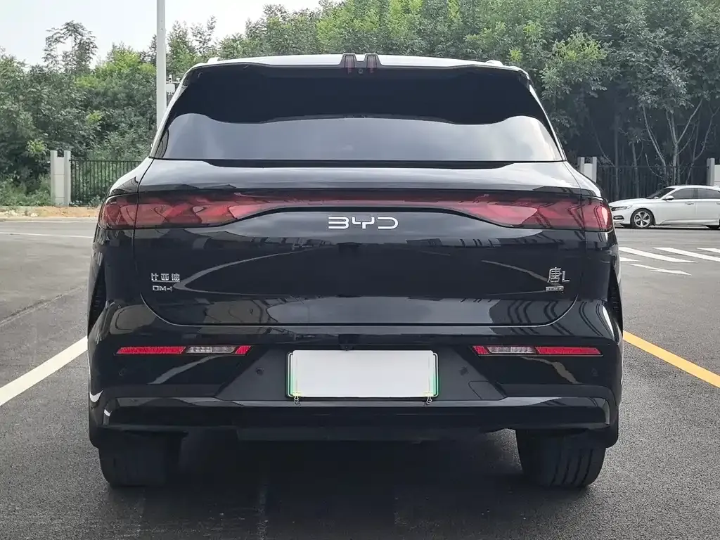 BYD Tang L 2025 из CN, фото 7