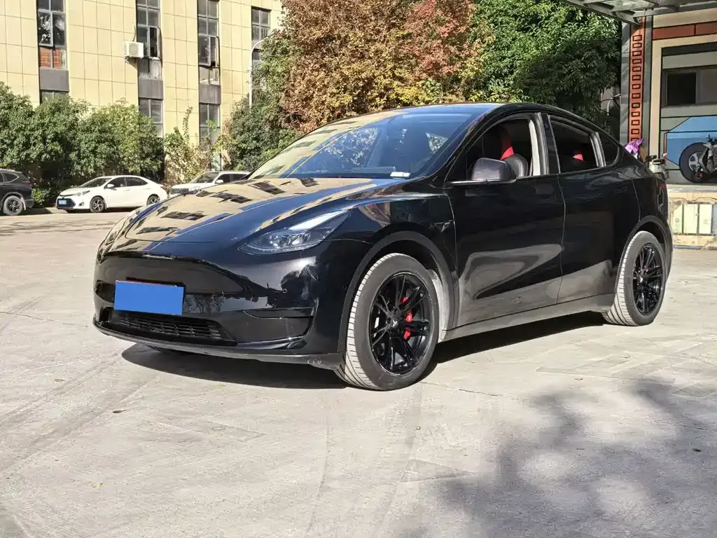 Tesla Model Y — фото 1