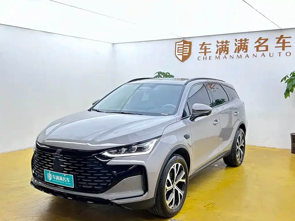 BYD Tang New Energy — фото 1
