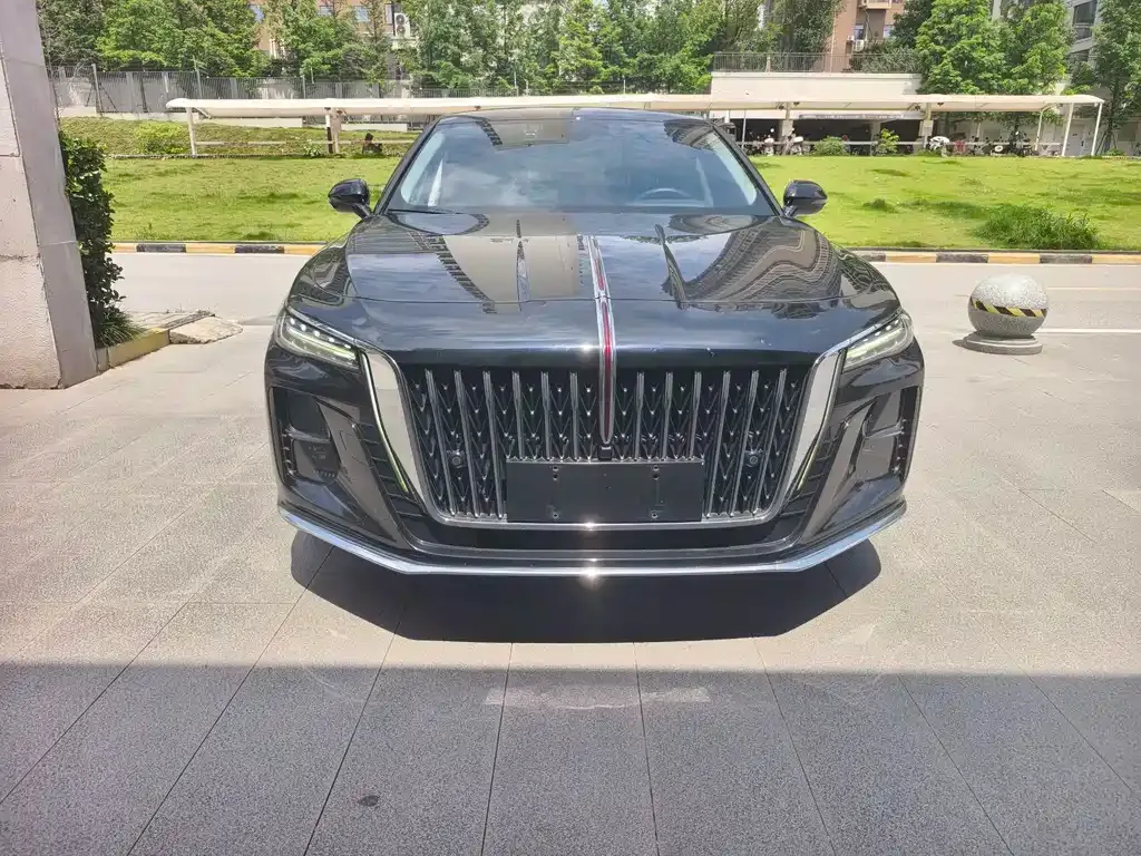 Hongqi H5 2023 из CN, фото 6